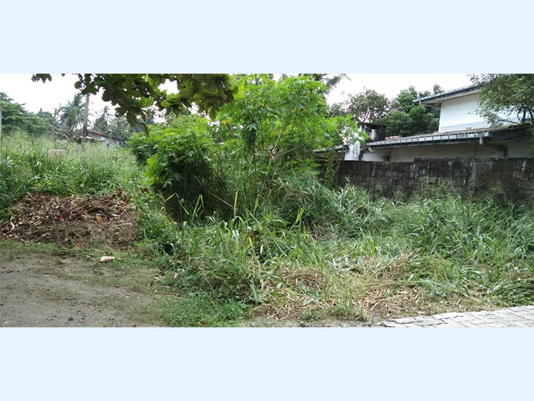 LAND | FOR SALE | PASYALA